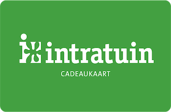 intratuin cadeaukaart